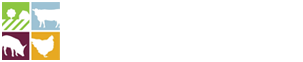 Garry Dennis - Technical Consultancy